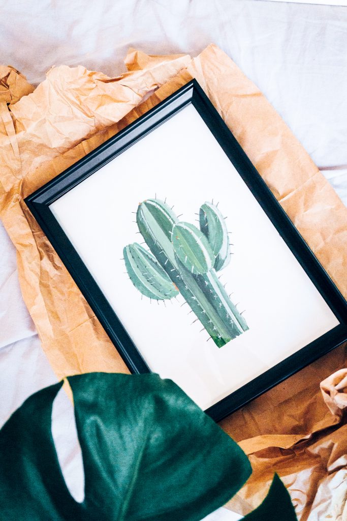 Kaktüs (Orijinal Resim Tek adet) Yeşil Ev Botanik