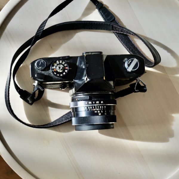 Masif Ahşap Sehpa (Tekli veya Set) Yeşil Ev Botanik